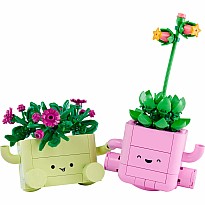 BOTANICALS Rocking Plants
