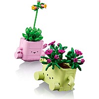 BOTANICALS Rocking Plants
