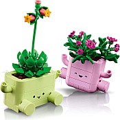 BOTANICALS Rocking Plants