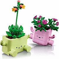 BOTANICALS Rocking Plants