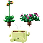 BOTANICALS Rocking Plants