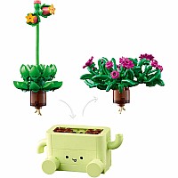 BOTANICALS Rocking Plants