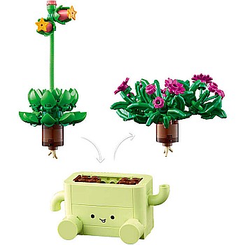 BOTANICALS Rocking Plants