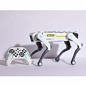 A.I D.O.G The Pet of Tomorrow