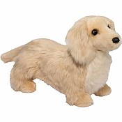 Haisley Golden Dachshund