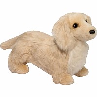 Haisley Golden Dachshund