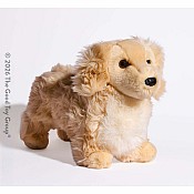 Haisley Golden Dachshund