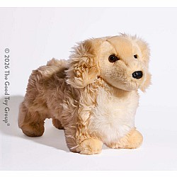 Haisley Golden Dachshund