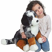 Aspen Australian Shepherd