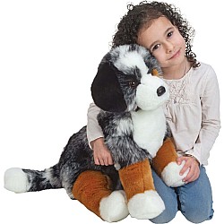 Aspen Australian Shepherd