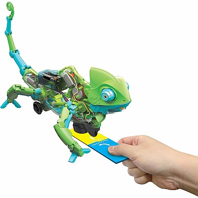 My Robotic Pet: Coding Chameleon