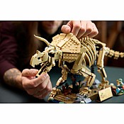 JURASSIC WORLD Dinosaur Fossils Triceratops