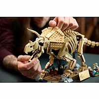 JURASSIC WORLD Dinosaur Fossils Triceratops