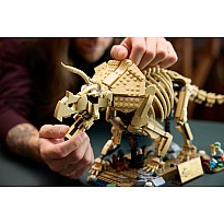 JURASSIC WORLD Dinosaur Fossils Triceratops