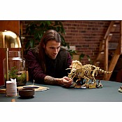 JURASSIC WORLD Dinosaur Fossils Triceratops