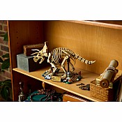 JURASSIC WORLD Dinosaur Fossils Triceratops