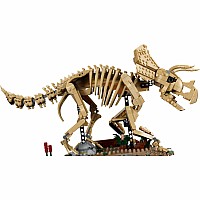 JURASSIC WORLD Dinosaur Fossils Triceratops