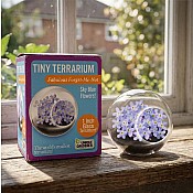 Tiny Terrarium Flowers