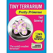 Tiny Terrarium Flowers