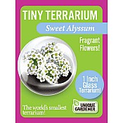 Tiny Terrarium Flowers