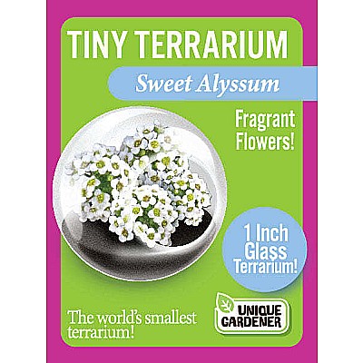 Tiny Terrarium Flowers