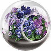 Tiny Terrarium Flowers