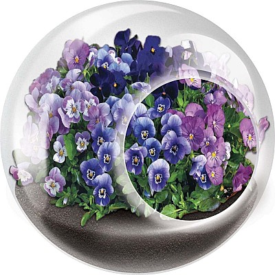 Tiny Terrarium Flowers
