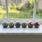 Tiny Terrarium Flowers