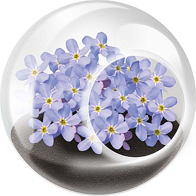 Tiny Terrarium Flowers