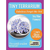 Tiny Terrarium Flowers