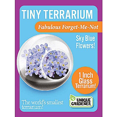 Tiny Terrarium Flowers