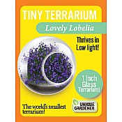 Tiny Terrarium Flowers