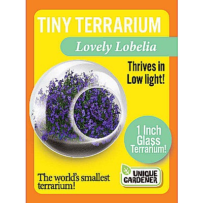 Tiny Terrarium Flowers