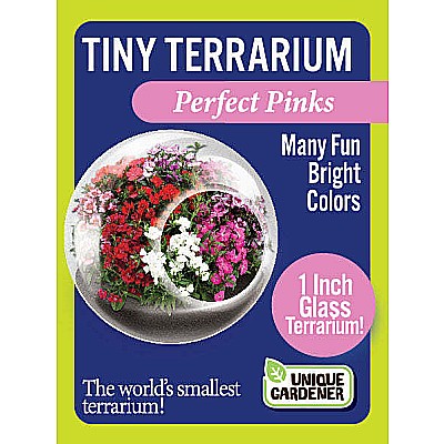 Tiny Terrarium Flowers