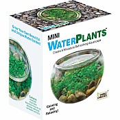 Mini WaterPlants - Create A Miniature Aquascape