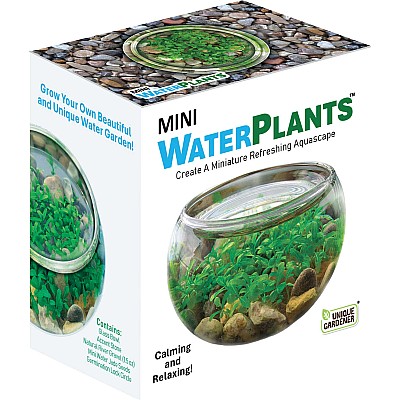 Mini WaterPlants - Create A Miniature Aquascape