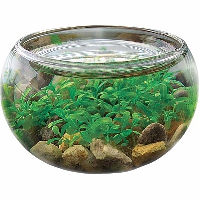 Mini WaterPlants - Create A Miniature Aquascape