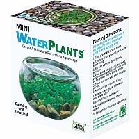 Mini WaterPlants - Create A Miniature Aquascape