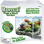 Bonsai Moss & Rock Garden Terrarium