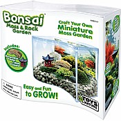 Bonsai Moss & Rock Garden Terrarium