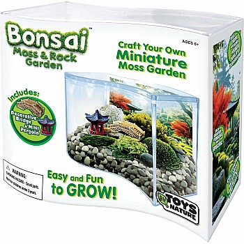 Bonsai Moss & Rock Garden Terrarium
