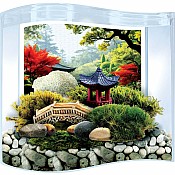 Bonsai Moss & Rock Garden Terrarium