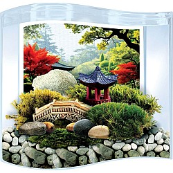 Bonsai Moss & Rock Garden Terrarium