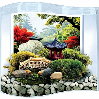 Bonsai Moss & Rock Garden Terrarium