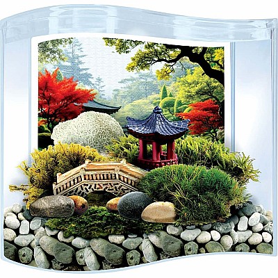 Bonsai Moss & Rock Garden Terrarium