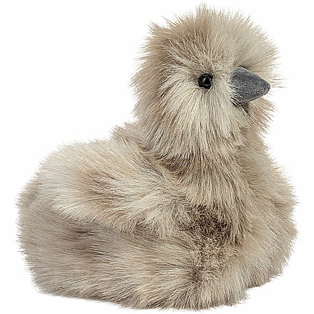 Zara Gray Silkie Chick