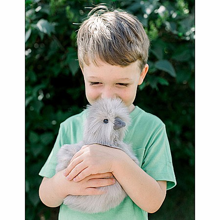 Zara Gray Silkie Chick