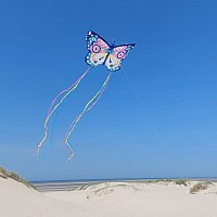 Giant Maxi Butterfly Kite