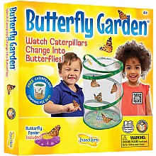 Butterfly Garden