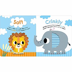 Scholastic Early Learners: Bumpy Squishy Fluffy, My First Look-and-Feel Book